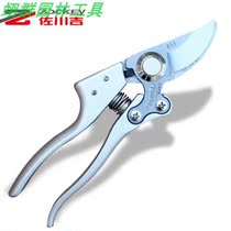 Sagawa Ki 833 pruning shears Garden branches scissors fruit tree scissors big hand type scissors forged knife head