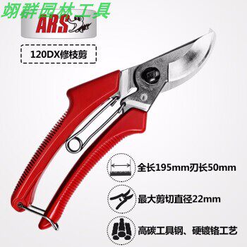 Alice (ARS) 120DX pruning shears branch shears pruning shears gardening special shears fruit tree pruning