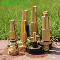 Hirochen (HC) Straight spray quick pick up spiral full copper high-pressure water pipe wash water spray head watering the irrigation water