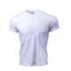 Jacky Liang Pintritium men's pure cotton round neck slim short-sleeved embossed printed sports and leisure T-shirt 01804