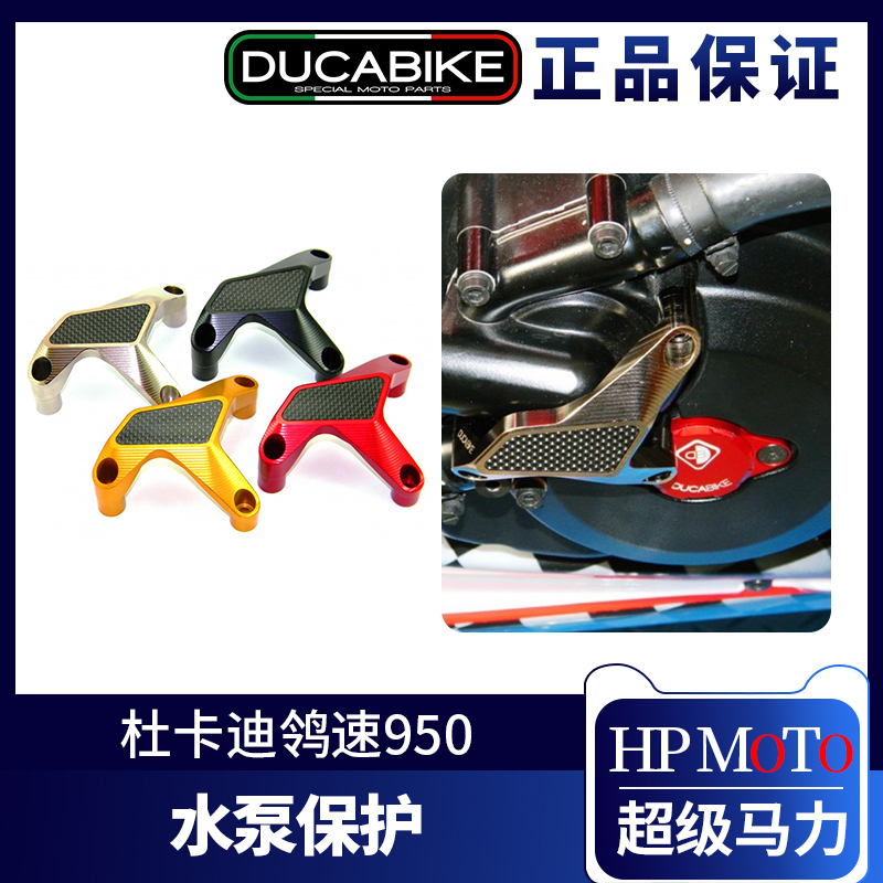 Italian Ducabike Ducardi's speed 950 water pump protection against fall