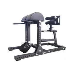 REPFORCE Abdominal and Back Trainer Roman Chair Goat Stand GHD Prone Reverse Leg Raise Leg Bend Hip