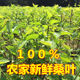 500 grams of fresh mulberry leaves, young leaves of mulberry trees, silkworm leaves to feed silkworms, feed for silkworms, 1 Jin [Jin is equal to 0.5 kg] Guangdong, Guangzhou, Shenzhen