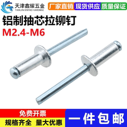 Core blind rivets Pull rivets Aluminum rivets Flat round head blind rivets M2.4M3.2M4M5M6