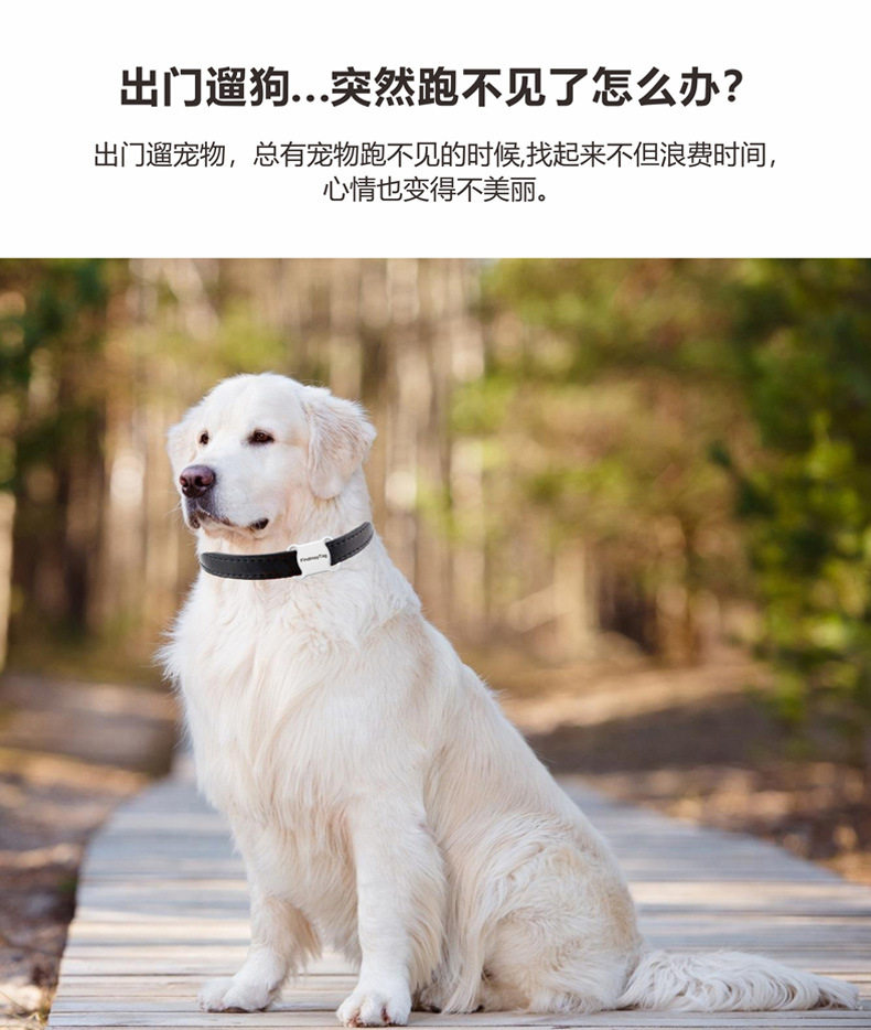 Смарт-оборудования для ношения / ошейники для питомцев 升级智能宠物定位器物件防丢器全球追踪狗狗子猫猫项圈防走丢追踪 Neutral