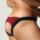 Specially designed men's briefs in four colors