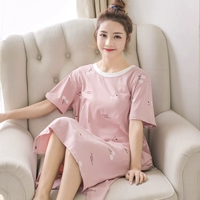 HZM-843 Bean Paste Cherry