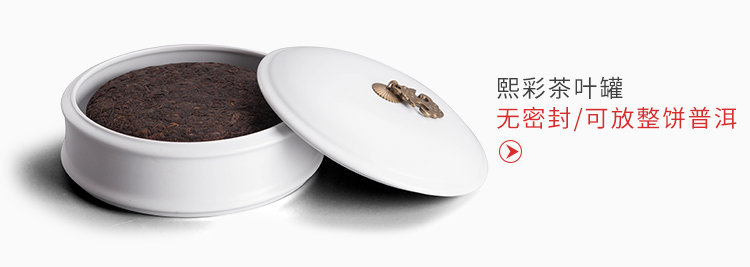 The Wu family fang caddy fixings ceramic large wake receives box of pu 'er tea cake tins storage POTS of tea set