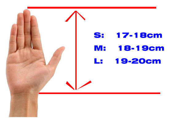 Protection sport - Ref 583728 Image 11