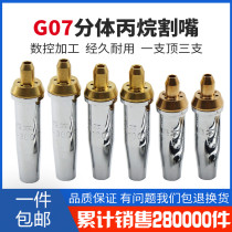 Split cutting nozzle propane G07-30 100 300 stainless steel gas liquefied gas plum blossom cutting torch