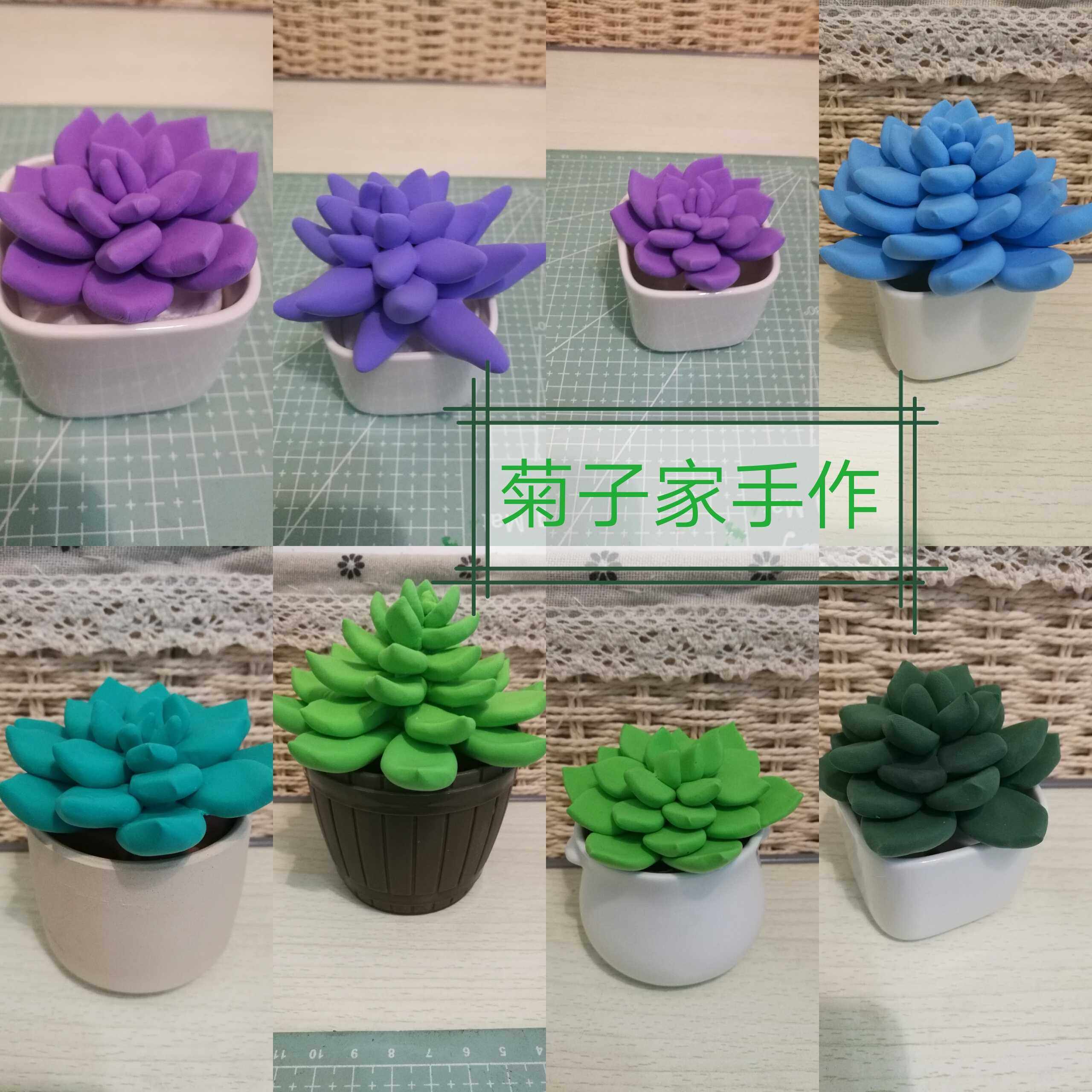 樹脂粘土軟陶超輕土多肉植物diy作品手工仿真創意禮物 成品