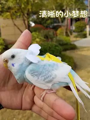 2019 flying baby bag elastic soft tiger skin peony Pacific cross-spotted small bird out towing flying rope