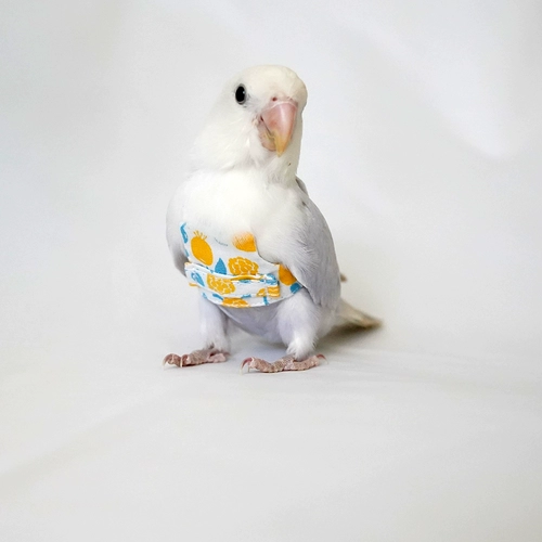 Прозрачные оригинальные сверхлегкие подтяжки, майка топ для выхода на улицу