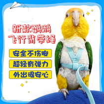 Parrot Bird Flying Rope Flying Rope Harness Towing Rope Elastic Super Light Walking Bird Rope Out Training Rope
