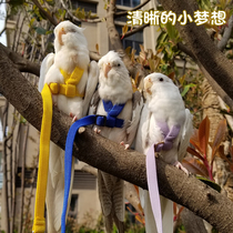 Parrot bird release rope Flight strap traction rope Elastic ultra-light bird walking rope out training rope Shentong