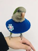 Parrot bird neck ring Anti-biting hair pecking hair injury protection collar neck cover cape