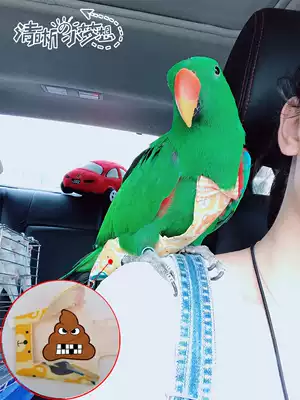 Clear home parrot clothes pet bird diapers flying jacket square three-dimensional shit bag diaper diapers