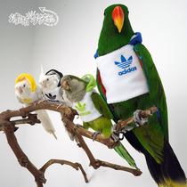 Clear family large medium and small cockatiel bird clothes thickened cotton clothes with hat flying clothes winter clothes four colors