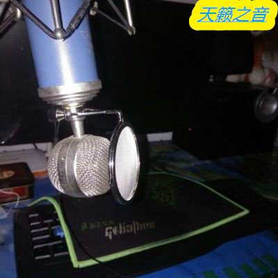 Universal ISK blues small bottle microphone microphone original blowout cover full metal blowout net