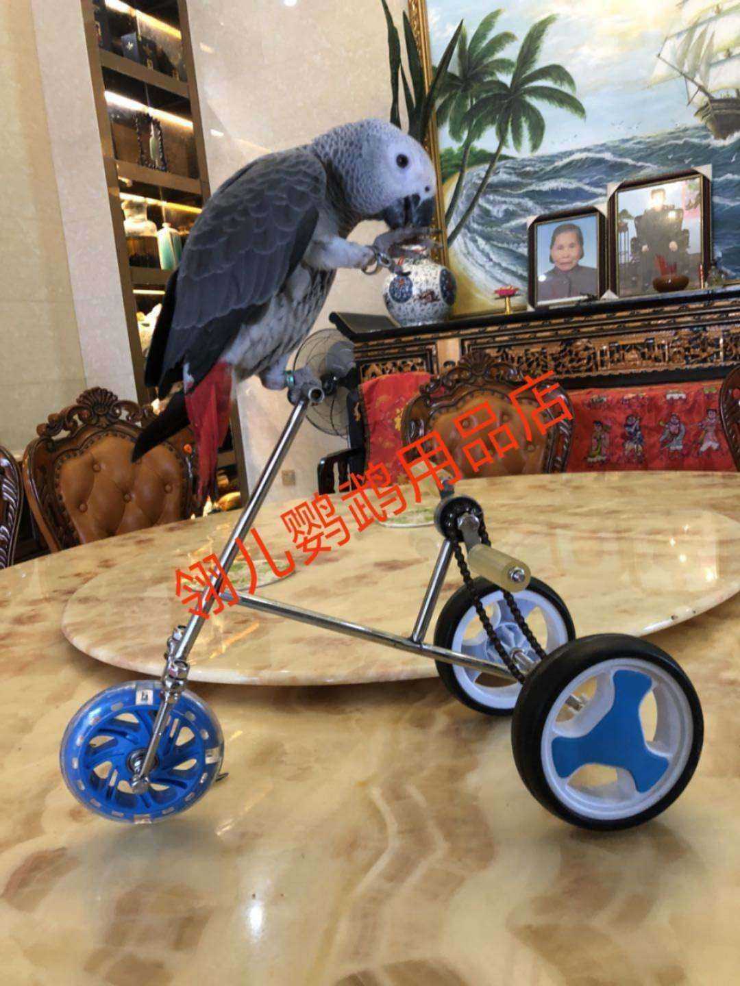 Parrot Training Props Bike Manemone Training Props Zoo Circus Universal