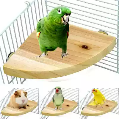 Parrot Stand Board Pedal Parrot Stand Stand