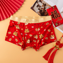 New Years Ben life year Great red mens underwear flat corner pants Modale cotton tiger year wedding Heqing mens four-corner pants