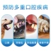 Bộ bàn chải đánh răng cho chó cưng Wei pet loại bỏ hôi miệng ăn được để loại bỏ cao răng răng miệng thú cưng làm sạch đồ dùng cho mèo - Cat / Dog Beauty & Cleaning Supplies