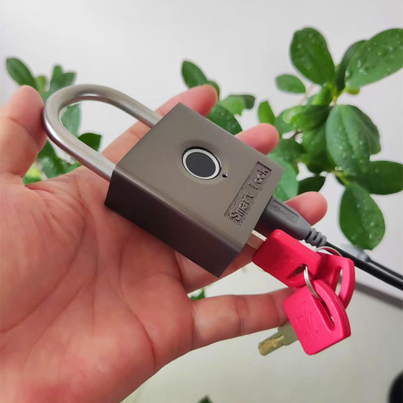 Remote authorization fingerprint lock padlock with key factory warehouse homestay rental shop waterproof smart anti-theft lock