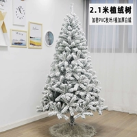 2,1 метра бархатных деревьев