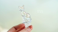 Прозрачная кошка