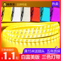 Light strip led three color color change light strip home super bright 220V ceiling decoration living room light belt outdoor waterproof