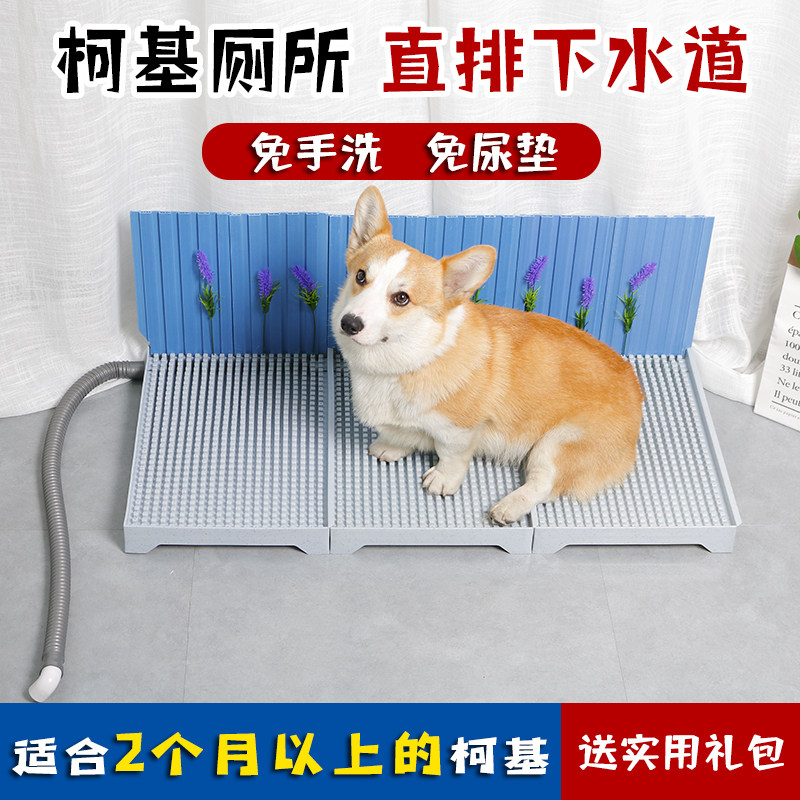 Dog toilet flush straight sewer straight through small and medium-sized dog Corgi special urinal automatic poop artifact