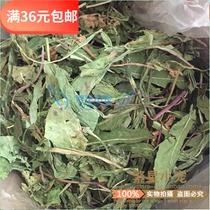 买4送1 烘干野生大叶蒲公英 龙猫兔子荷兰猪清热去火牧草零食100g