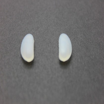Brand Glasses nose Tobica Silicone Toye Sunglasses Nasal Cushion Glasses Accessories Noto Bayonet Type Anti Slip Nose