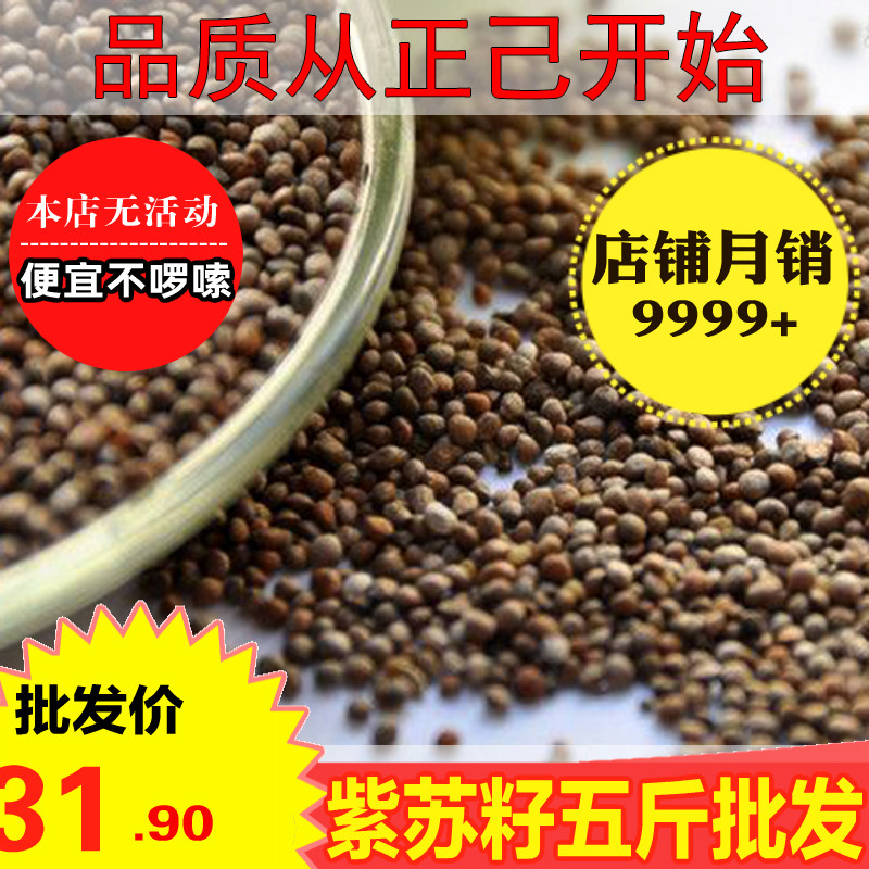 Purple Suzu 500g Edible Northeast Wild Purple Suseed Black Su Seed Oil Chinese herbal medicine Traditional Chinese medicinal herbs Zhengyi Daquan