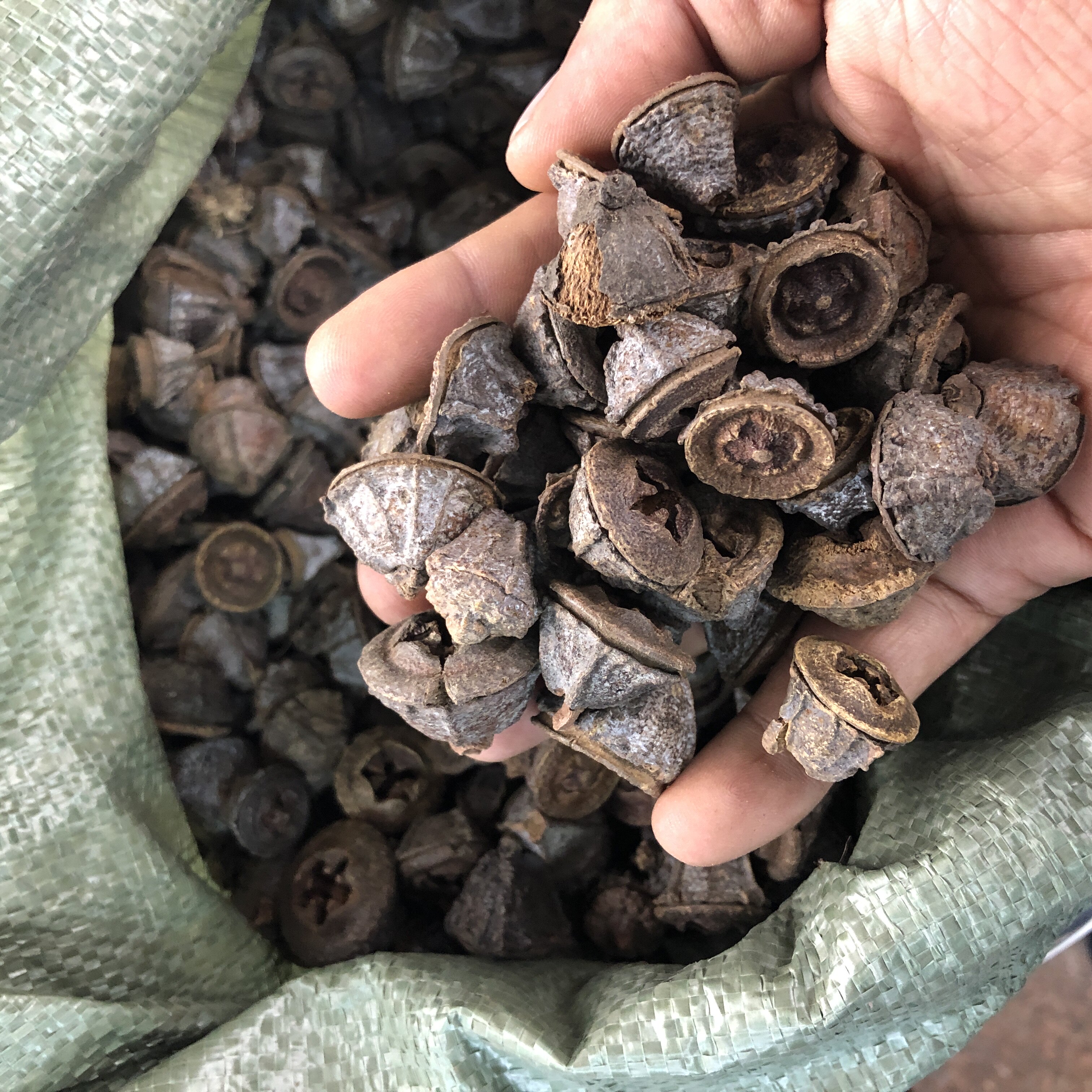 Mouthed bell 500g Yunnan wild flushing wine spices seasoning Chinese herbal medicine dry goods bark bulk edible