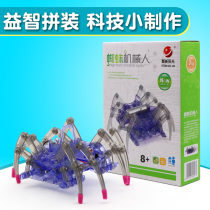 Experimental toy technology diy small handmade creative educational gift assembly electric crawling spider robot