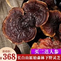 250g Changbai Mountain Primitive Forest Wild Ganoderma lucidum Ganoderma lucidum whole positive Ganoderma lucidum spore powder