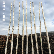 Birch trunk partition decoration birch branch tree branch dead tree window partition screen screen home porch decoration
