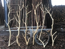 Go to the belt fork keel trunk branch tree branch coat rack dead tree trunk modeling tree wall hanger to peel the trunk