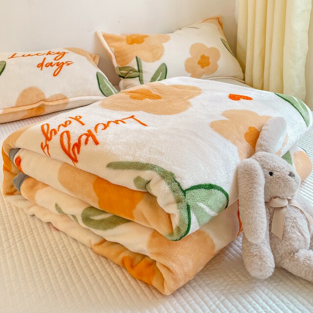 Winter milk velvet blanket office nap air conditioning blanket sheets spring and autumn coral velvet sofa blanket light style