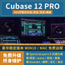Cubase12pro 40G Chinese full version music production recording and arrangement software remote service WIN MAC