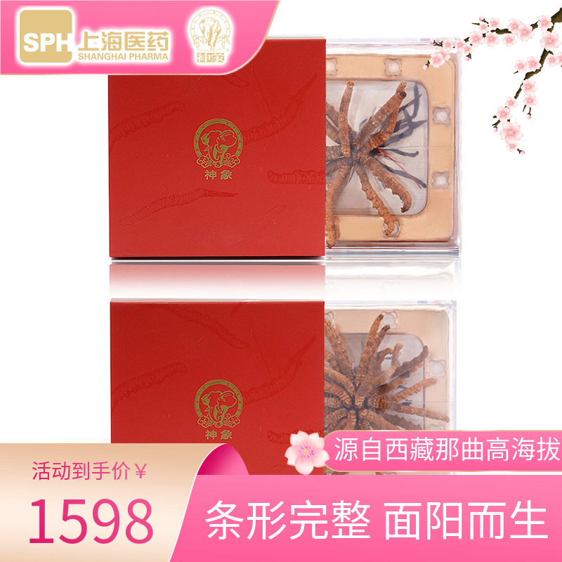 Upper Medicine Tibet Naven God Elephant Caterpillar Fungus 3g 3g 6g Zflower Sleeve Composition Caterpillar Fungus Full Pure about 47-50
