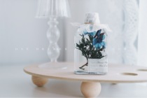 "A drawer" hand-made immortal phytoplankton vase specimen dried flower ornaments birthday gift 38