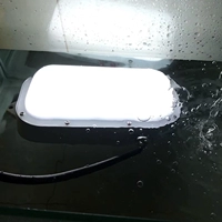 Светодиодная кухня из нержавеющей стали, взрывобезопасный водонепроницаемый потолочный светильник