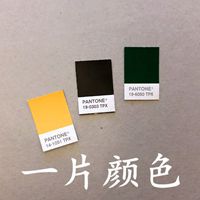 Spot Pantong Card International Standard Clothing Textile Single TPX Color Card TPG Monochrome 2*3cm