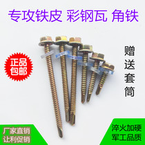 Screw dovetail screw drilling tail wire flat head self-tapping galvanized screw color steel tile special nail