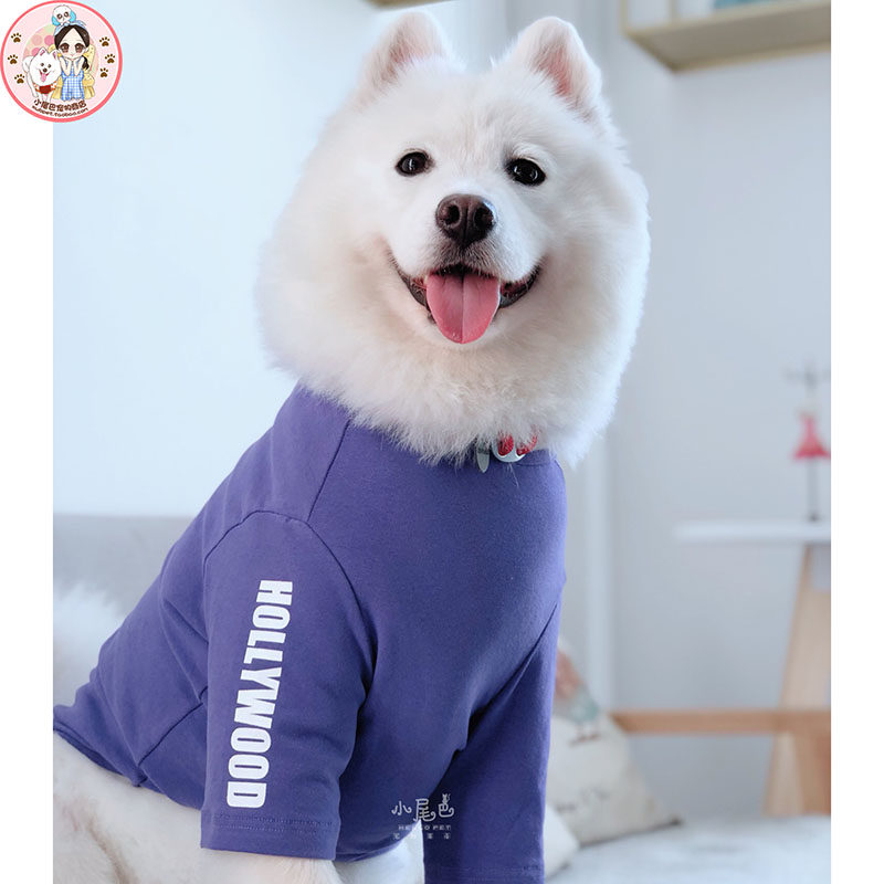 (Little Tail Pet) Medium and Large Dogs Big Dogs Cotton Color English Long Sleeves Casual Spring and Autumn Bottoming Shirts