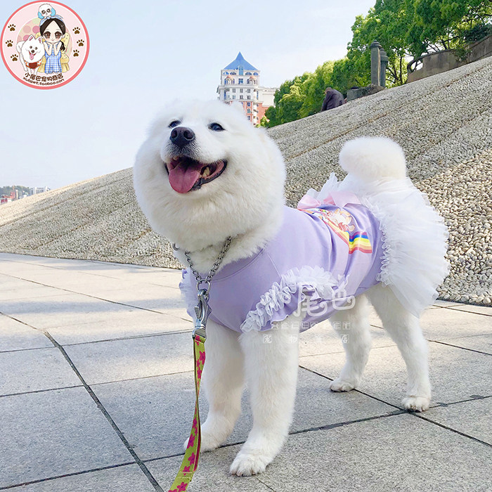 Medium and large dogs golden retriever Samoyed pet rainbow pony tutu T-shirt short-sleeved summer clothes can be customized