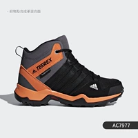 AC7977